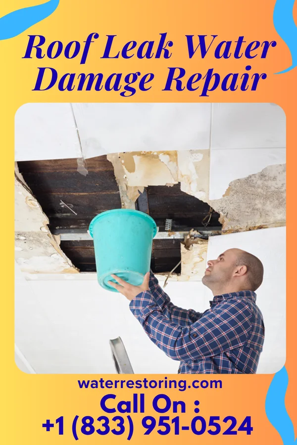 Roof Leak Water Damage Repair in Ore Hill, PA