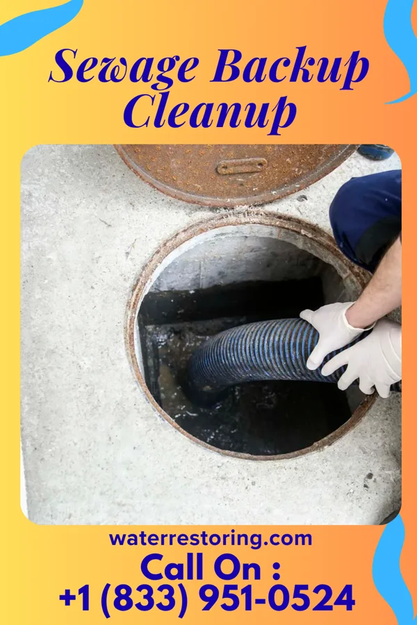 Sewage Backup Cleanup in Ore Hill, PA